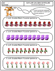 sıralama kavramı ile ilgili örnek çalışmalar